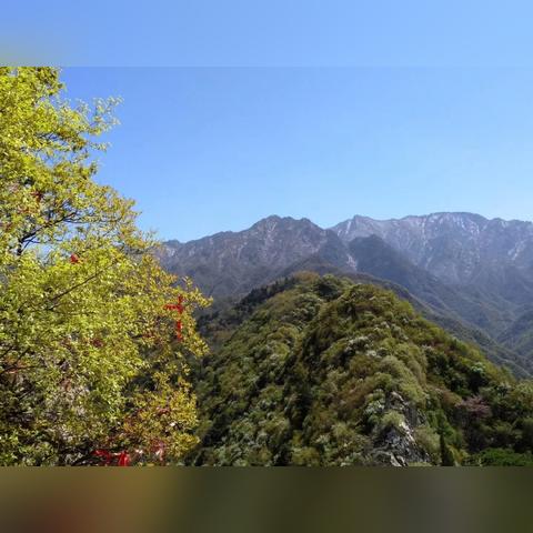 西安的翠华山有直接去的车吗？