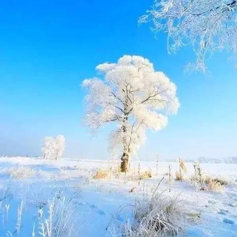 桑枢瓮牖打指一个生肖,成语释义精编解答