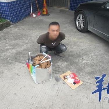 广东省佛山市高明区看守所电话的长尾关键词有什么