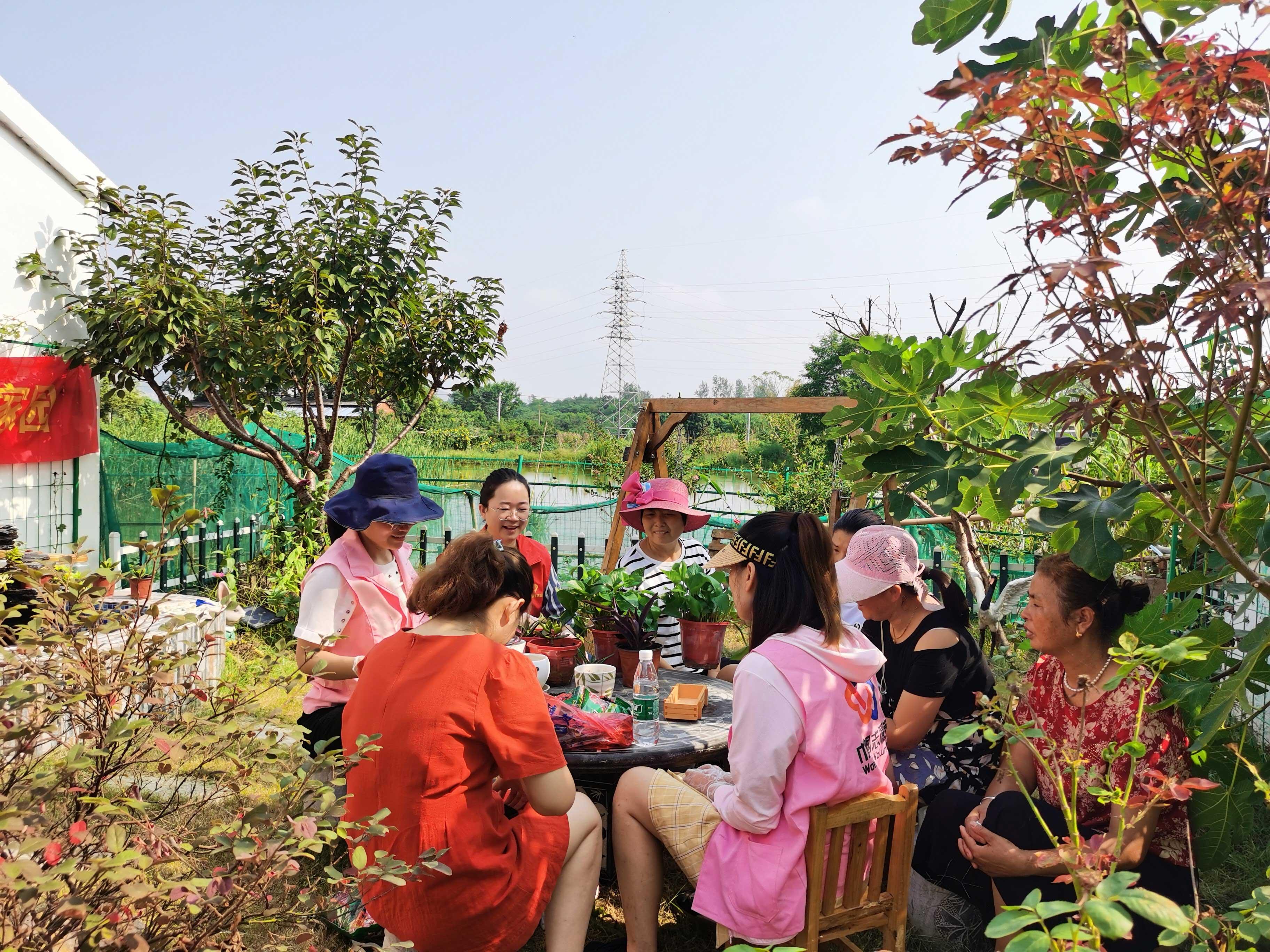 多肉diy活动,如何自己配制花土?"