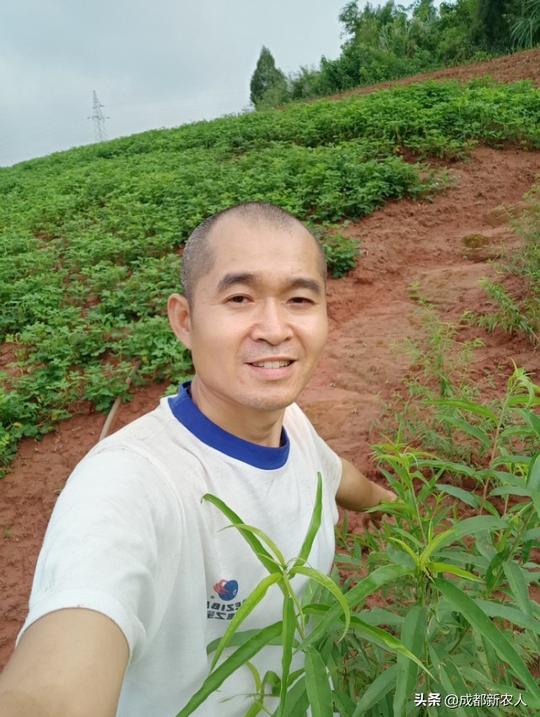 农村当中的农民需要怎样才能赚钱？创业哥为大家深度分析解释
