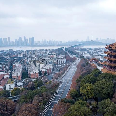 广州市防疫级别是什么