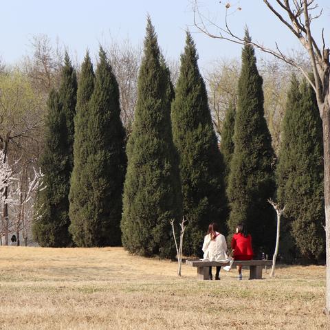 整个邯郸市一共多少人口