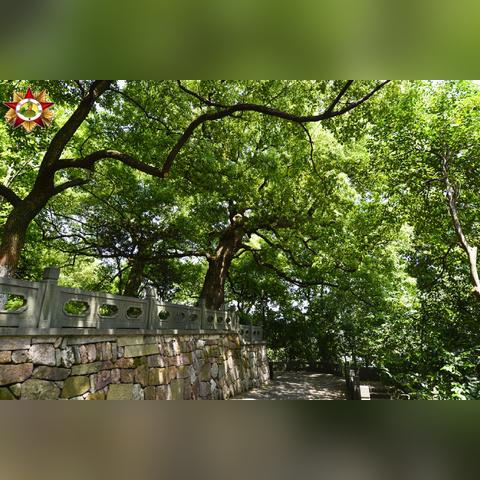 2025.12.12杭州今天空气质量指数怎么样