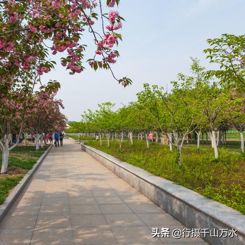 济南市哪个公园不要门票