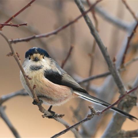 河南小孩冬天的相关长尾关键词有哪些