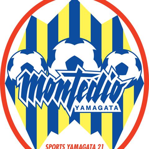 日本足球联赛收费多少钱