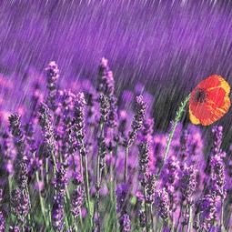 满城什么时候有雨