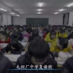 11中往年升学率怎样？