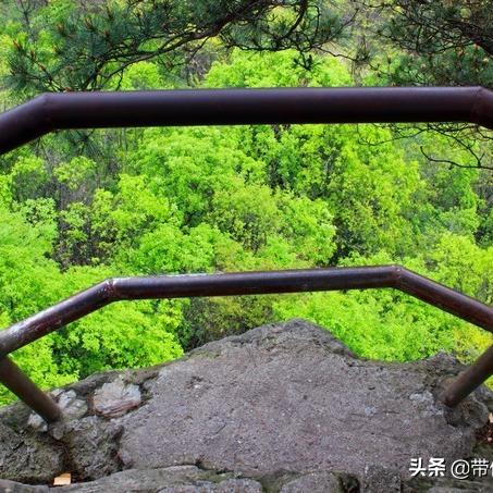 沈阳市哪个地方卖木材便宜