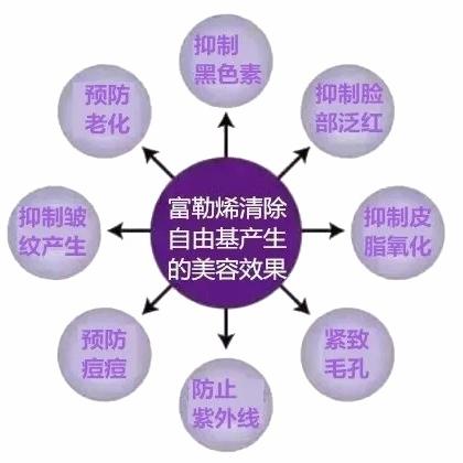 济南市奢觅女装店在哪里