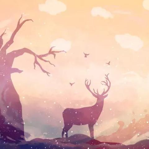 生肖今年运势文案图片大全(生肖今年运势文案图片大全集)