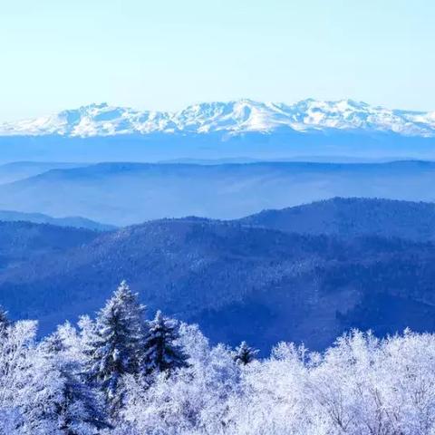 外国足球运动员求婚的长尾关键词有什么