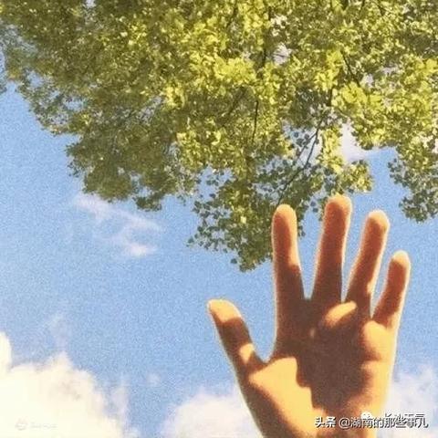 【长沙未来15天天气预报】长沙未来15天气情况查询