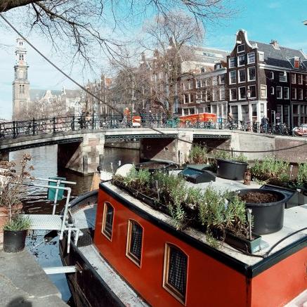 阿姆斯特丹五月份天气的长尾关键词有什么