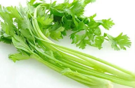 芹菜可以做些什么美食（大蒜都能做什么菜）