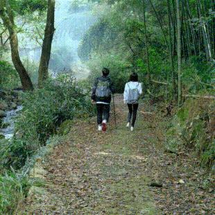 宁波幼儿园秋游的长尾关键词有什么