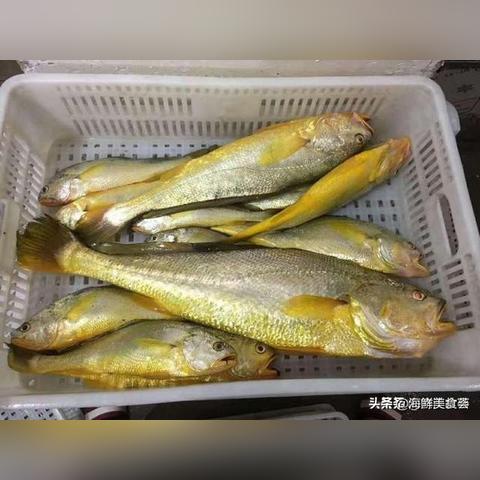 厦门海钓赶海的相关长尾关键词有哪些