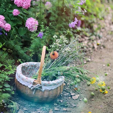 常熟自驾苏州梦幻乐园怎么走