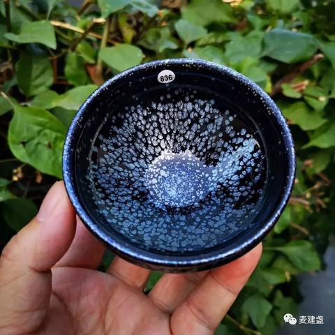 福建建阳的茶怎么样