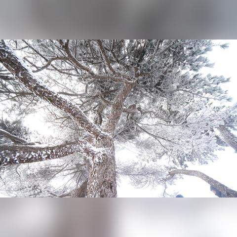 【合肥5月8日天气预报】2025年5月8日合肥天气情况