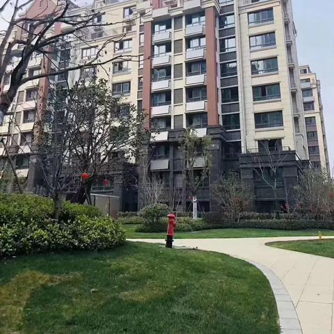 合肥市哪个区房价较低