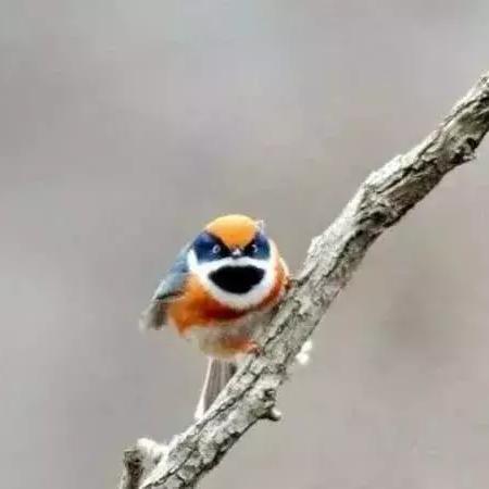 西安 产业相关长尾关键词有哪些