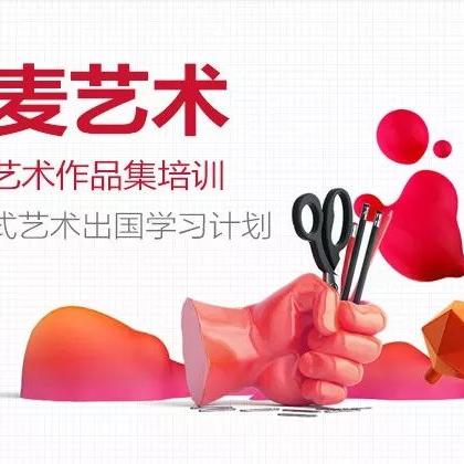 上海哪些机构办留学