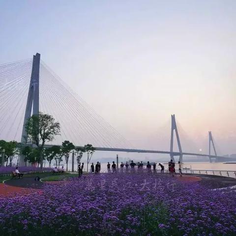武昌和武汉市哪个发达