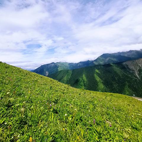 国家首个水风光一体化基地两座高原百万千瓦光伏电站同步投产
