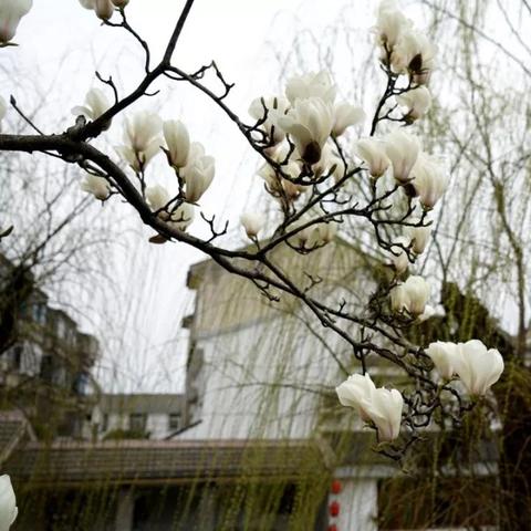 苏州市常熟市市民卡什么样的的长尾关键词有什么