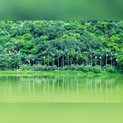 桂林市五湖景区在哪里