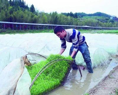 现代农机具“开”出创业路