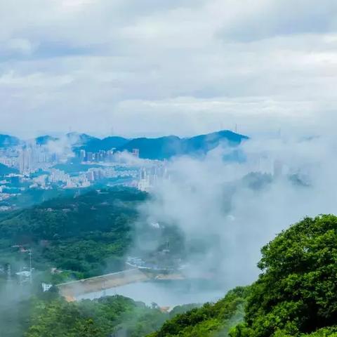 东莞市踏春去哪里