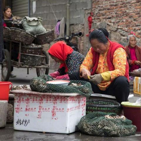 福建哪个地方簪花最多