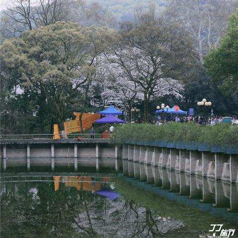 黄鹤楼在我国什么武汉市什么？