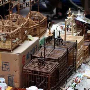 西安的大型鸟市在那?怎么走？