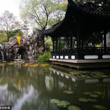 合肥市旅行社机票什么