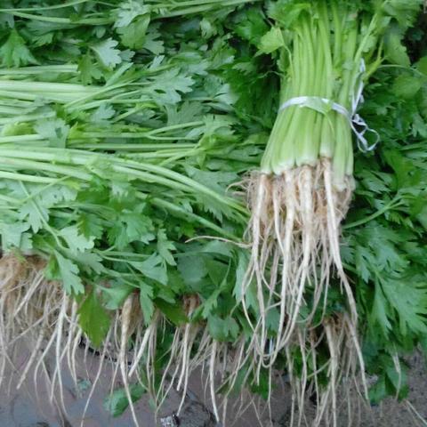 常州去兰州的相关长尾关键词有哪些