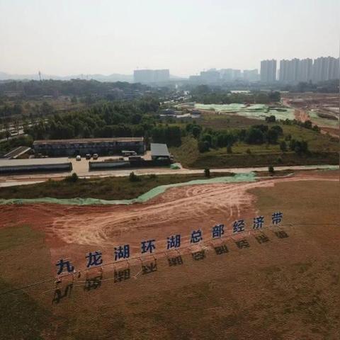做跨境为什么去广州