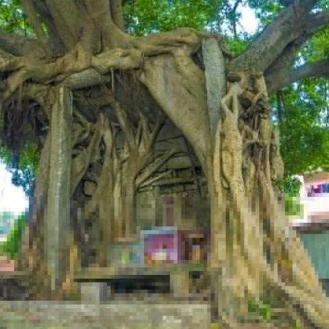 福建哪个庙灵验最灵