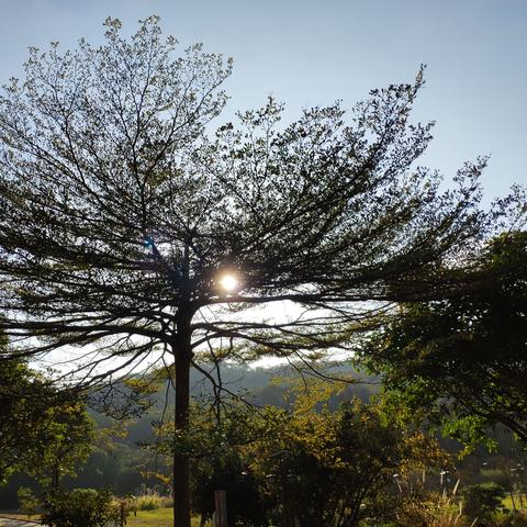 厦门市民卡办理要多久