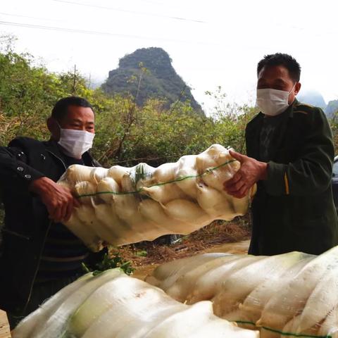 桂林同盛物流公司相关长尾关键词有哪些