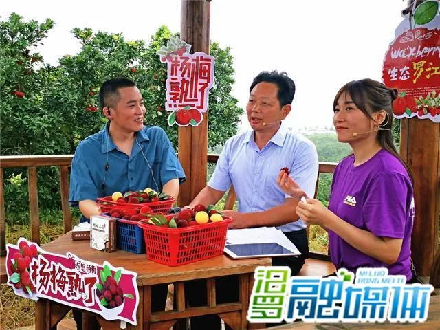 带货翻车的原因 带货怎么不翻车