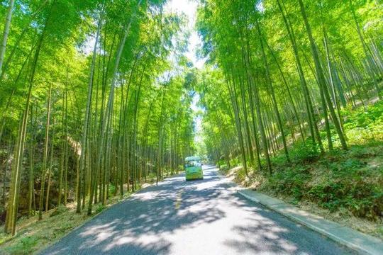冷门小城里的诗意慢春天：为什么要走进无锡宜兴？