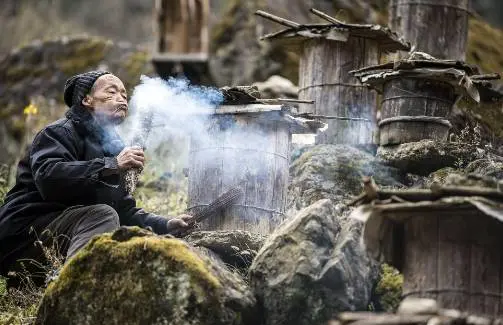 怎么买海贼王ip版权号 海贼王哪个nft平台