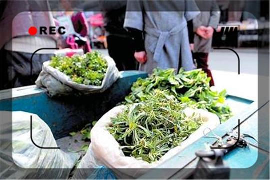 51岁的人一直打零工，手里有5000块钱，能做一些什么小生意？
