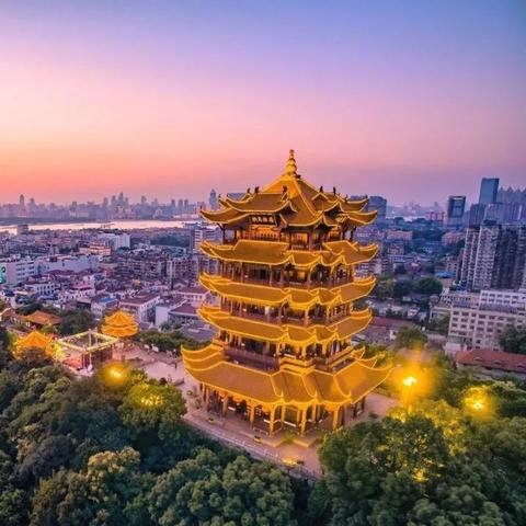 河南来武汉需要什么