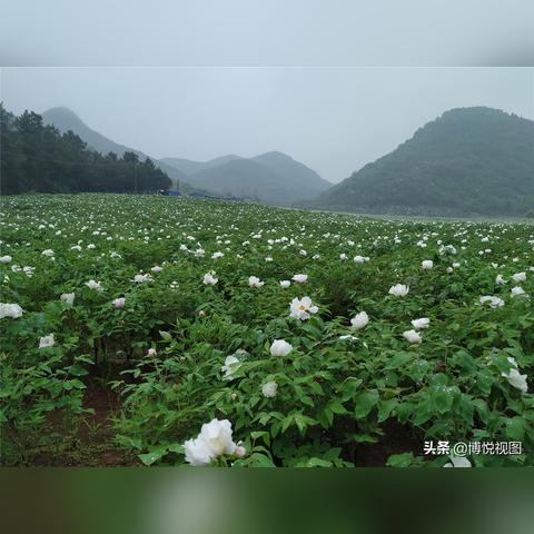 十一湖南的天气情况的长尾关键词有什么