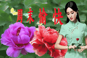 可爱美女动态图gif表情包
